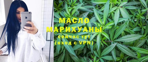 дмт Алексин