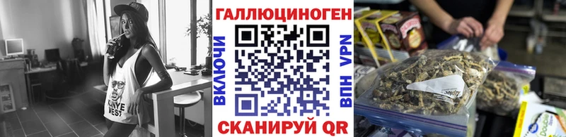 mega как зайти  Сураж  Псилоцибиновые грибы MAGIC MUSHROOMS 